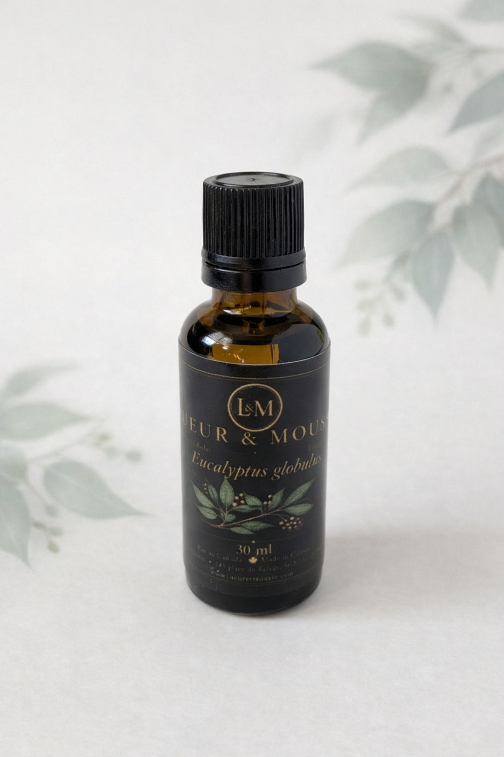Huile Essentielle d'Eucalyptus Globulus – Image 3