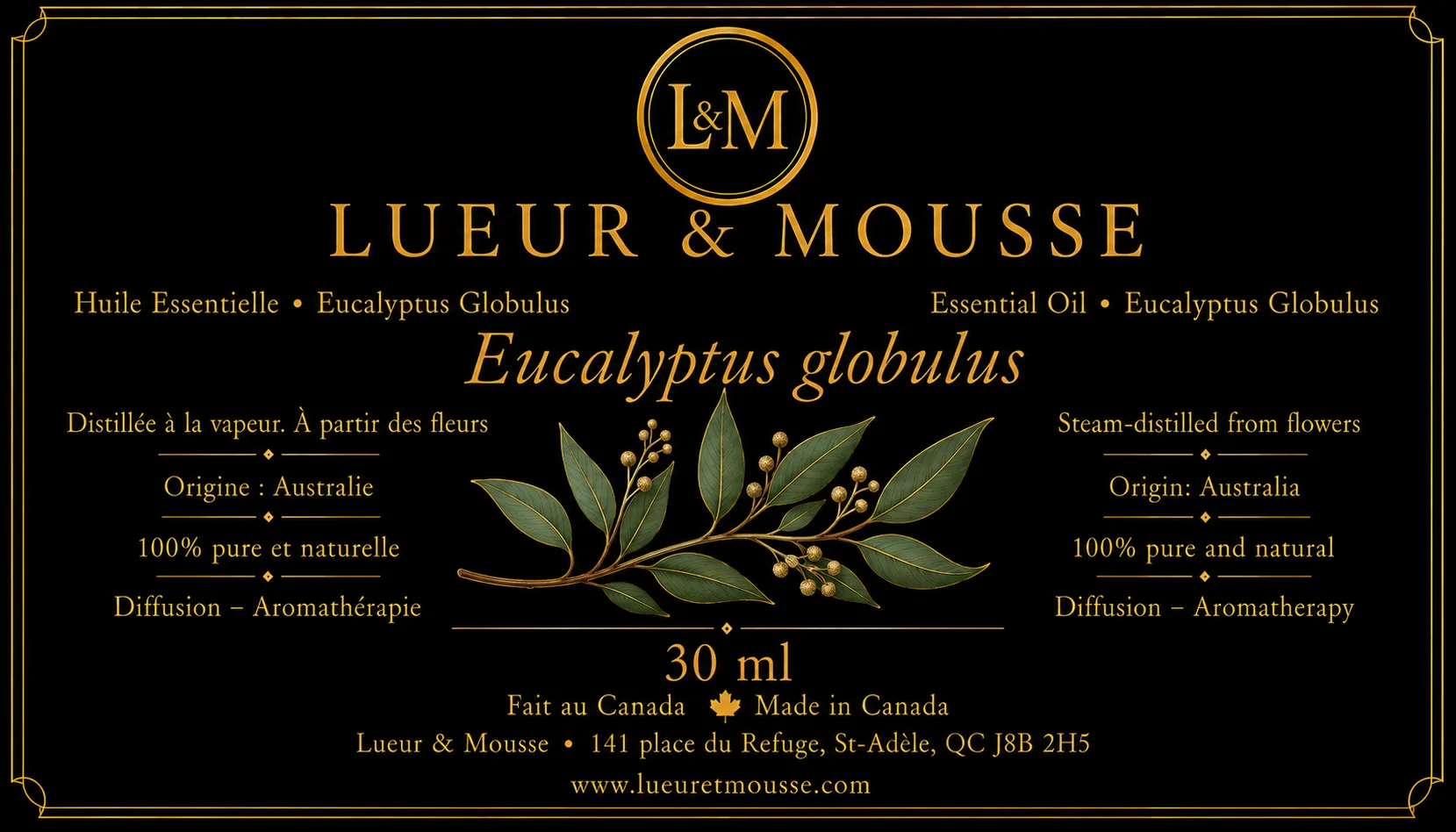 Huile Essentielle d'Eucalyptus Globulus – Image 2