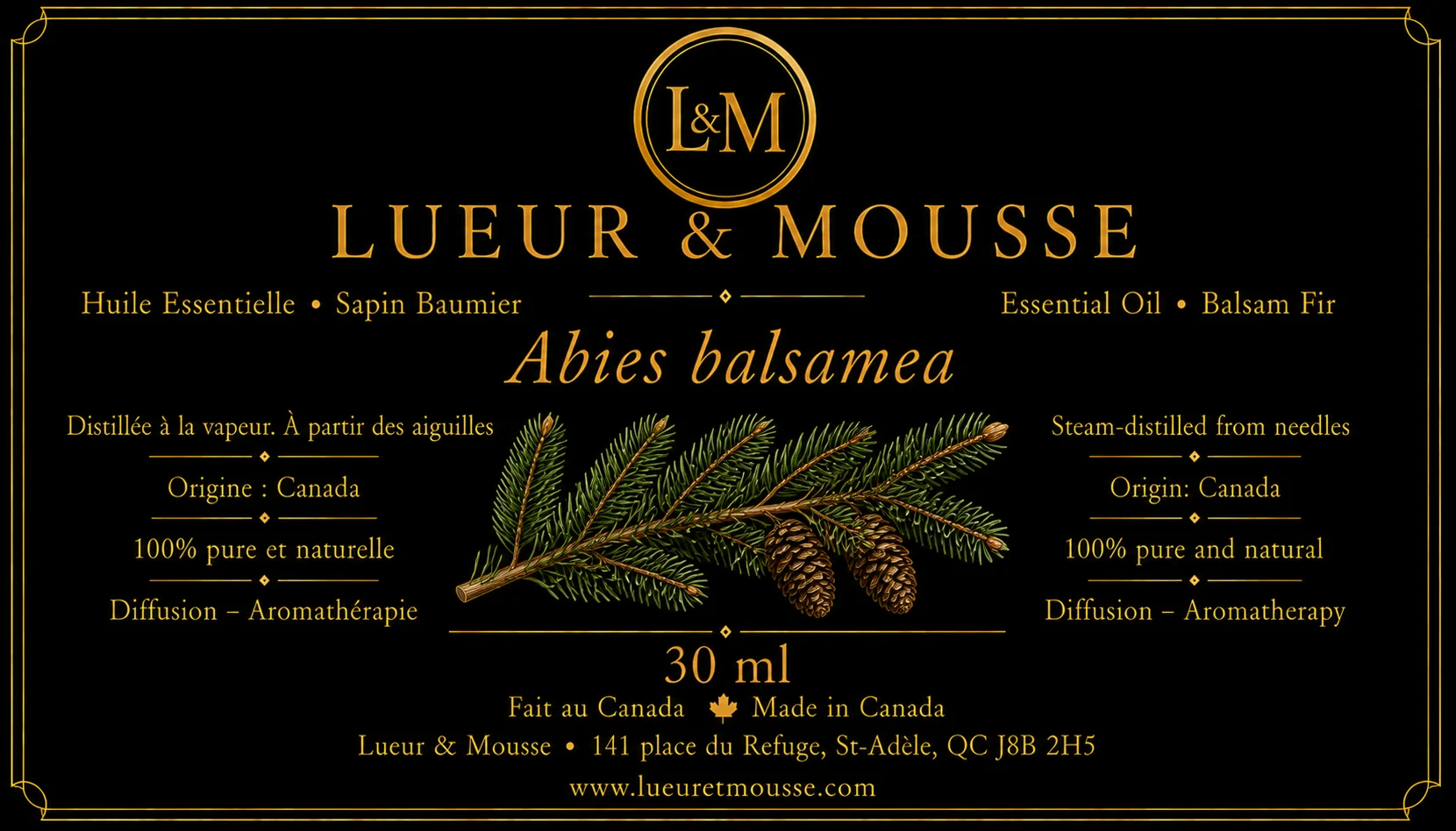 Huile Essentielle de Sapin Baumier – Image 2