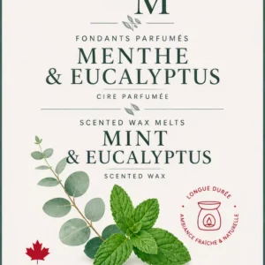 Fondant de cire parfumé eucalyptus & menthe verte – Lueur & Mousse